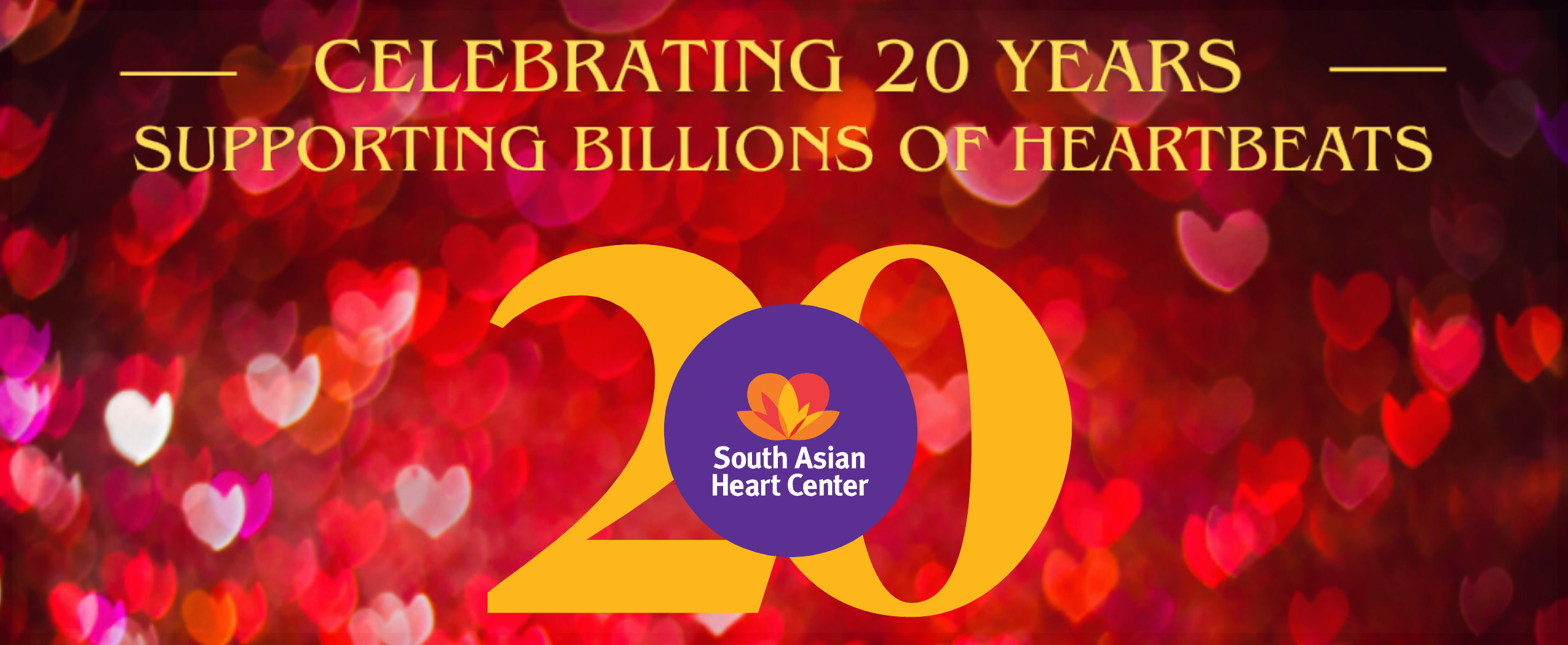 Celebrating 20 years banner.